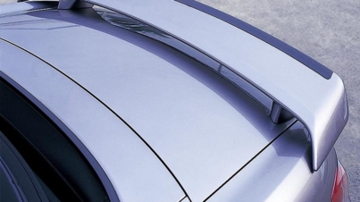 AP1_rearwing_01